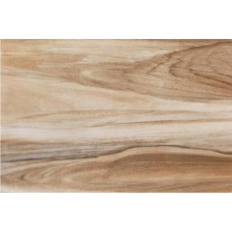 Gạch lát sàn Trường Thịnh WOOD SERIES 69EL856M2